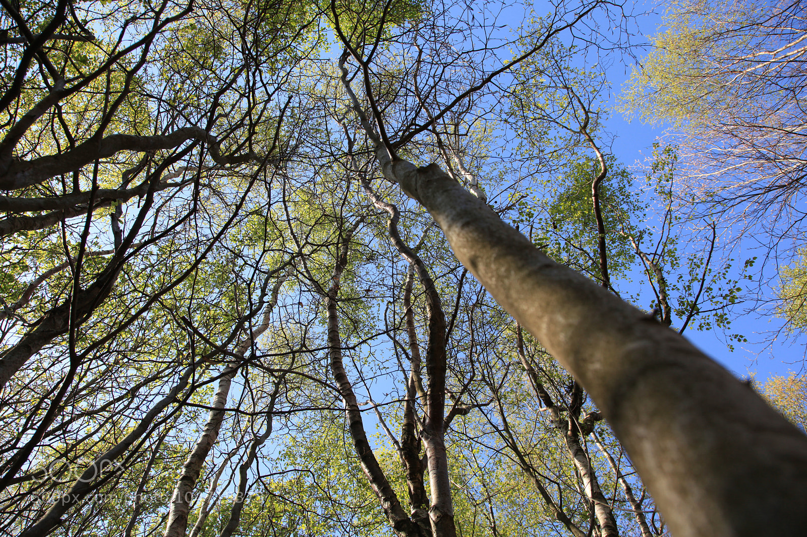 Canon EOS 5D Mark II sample photo. Untitled photography
