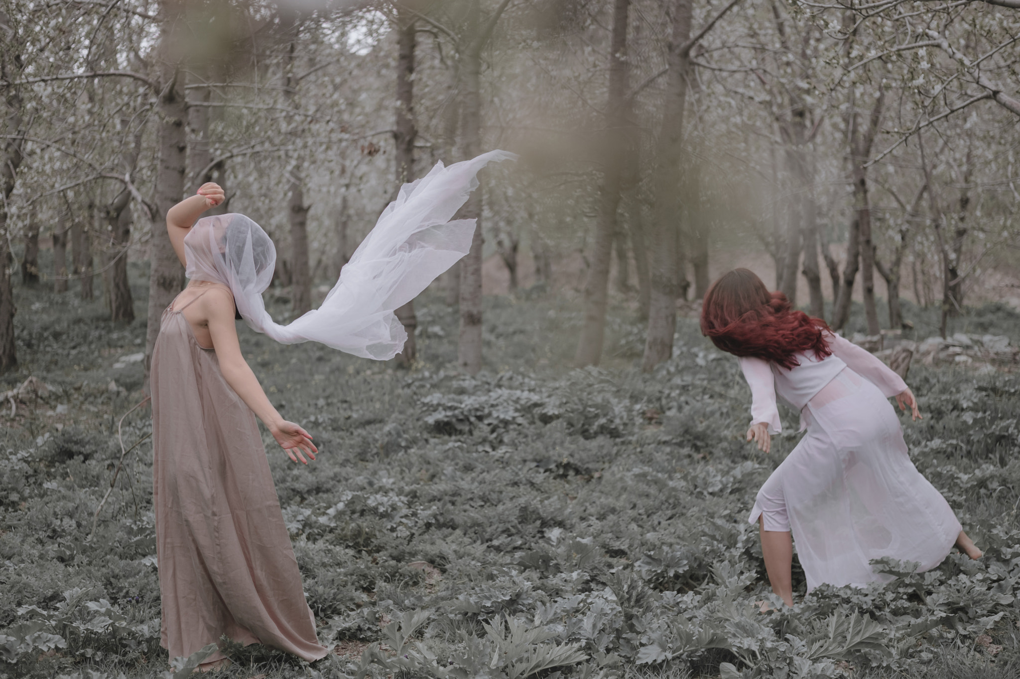 v2?sig=59664e649dcf65f0660ab82eea8b9e02c18b52f4fda84cda79efcd85af71b8f1