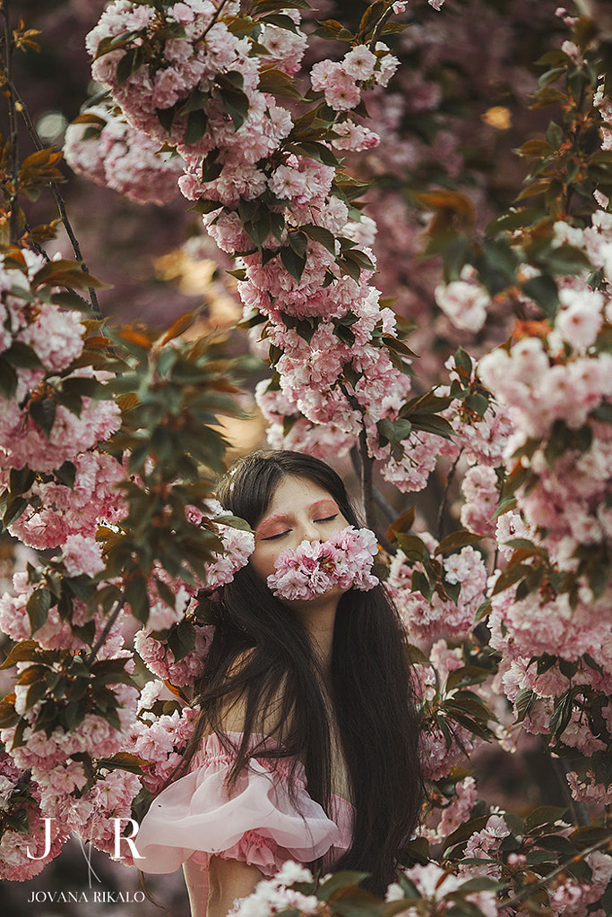Spring Dream by Jovana Rikalo on 500px.com