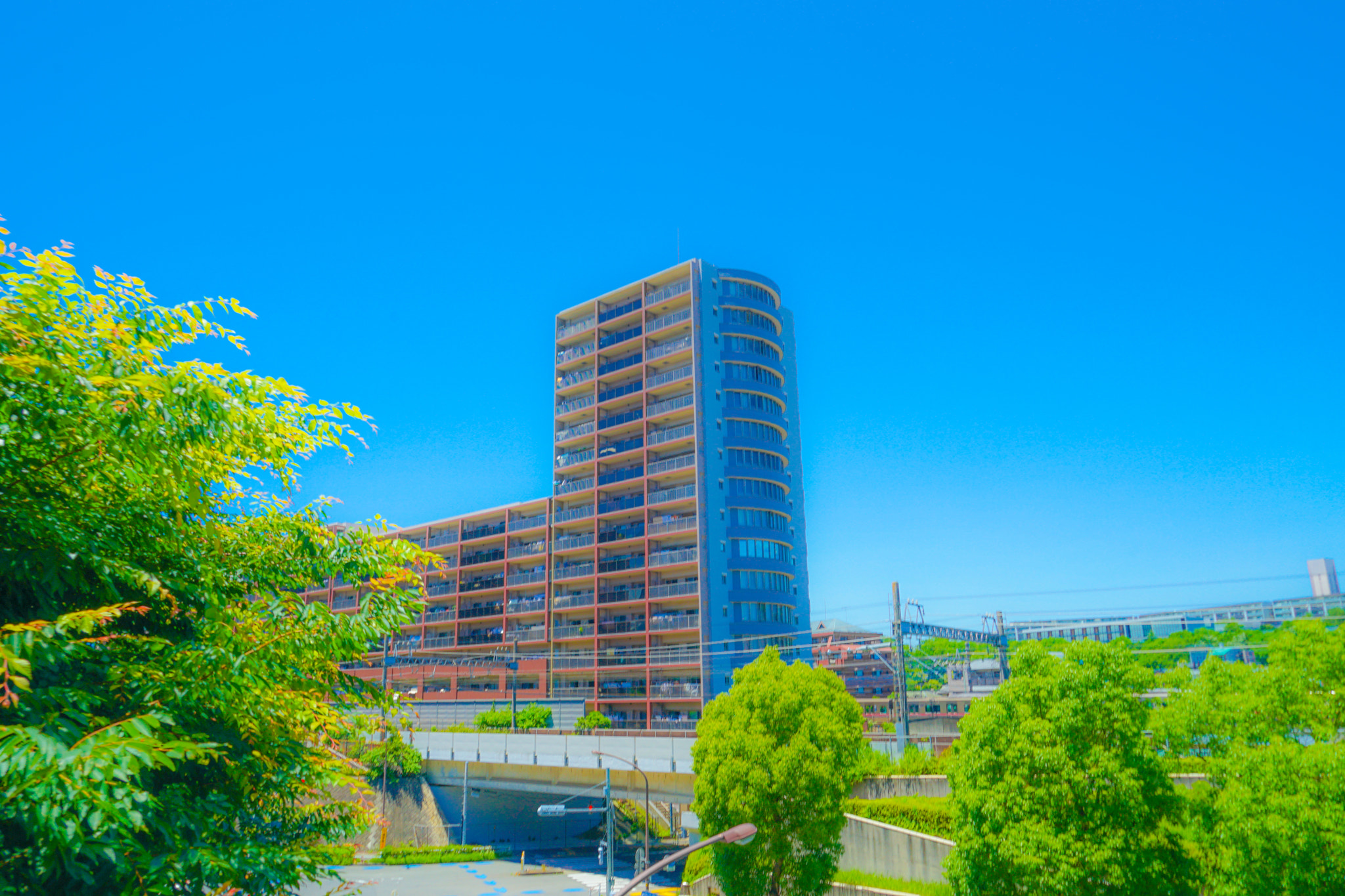 Quarter of the early summer of Tama Center