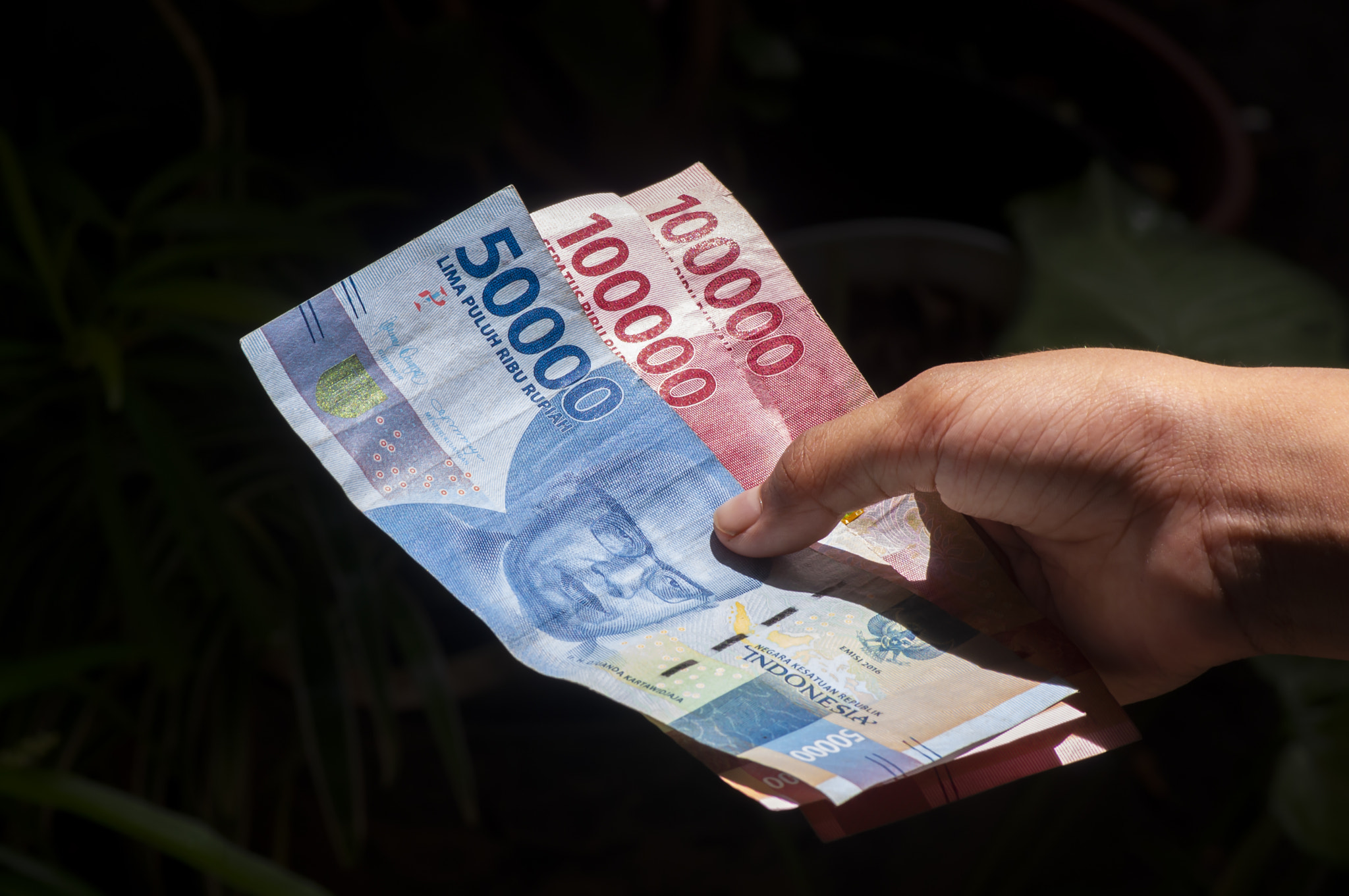 An Asian child holds Indonesian money