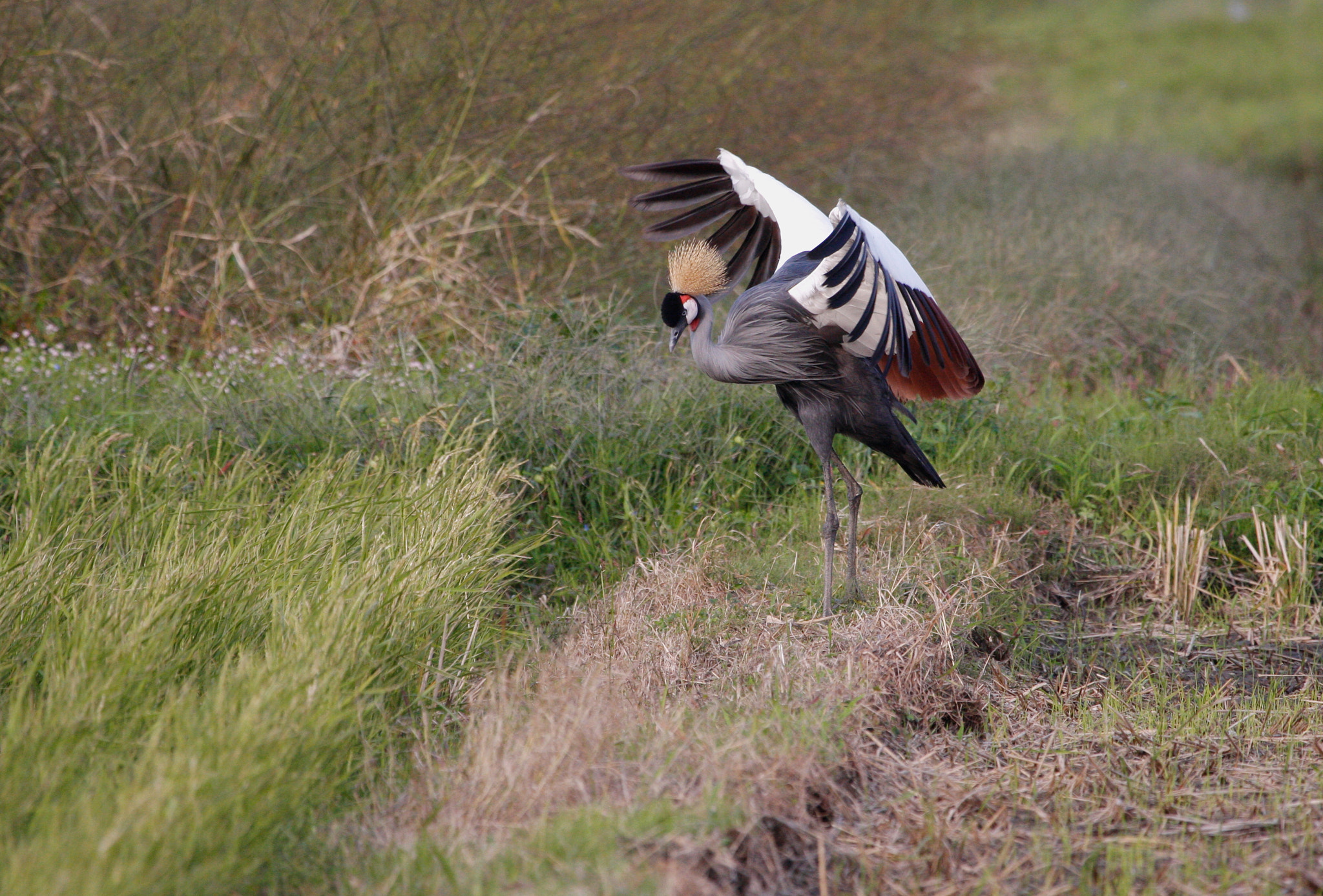 v2?sig=835230cf22ef34de9bebe9a2f903b3a3266589a979695d6eb67007bd5968df26