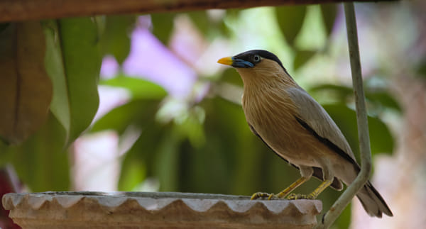 Balance by Girish Joshi on 500px.com
