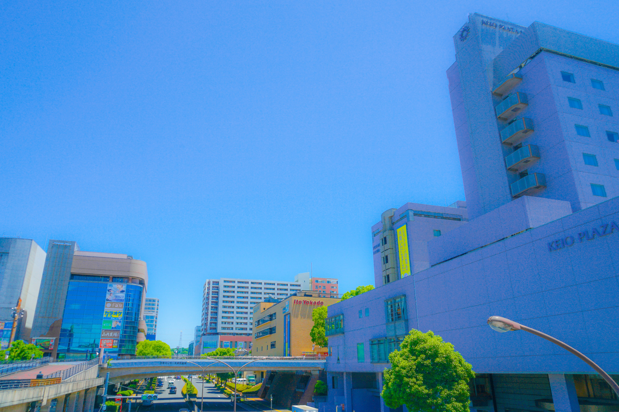 Quarter of the early summer of Tama Center