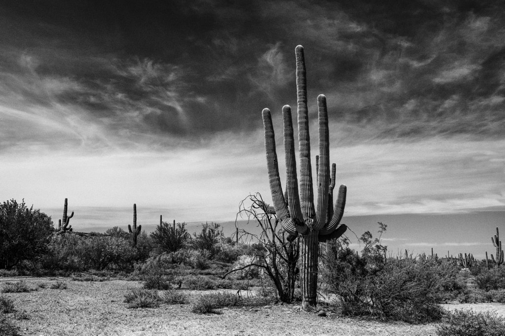 Arizona Landscape by Kotomi Ito / 500px