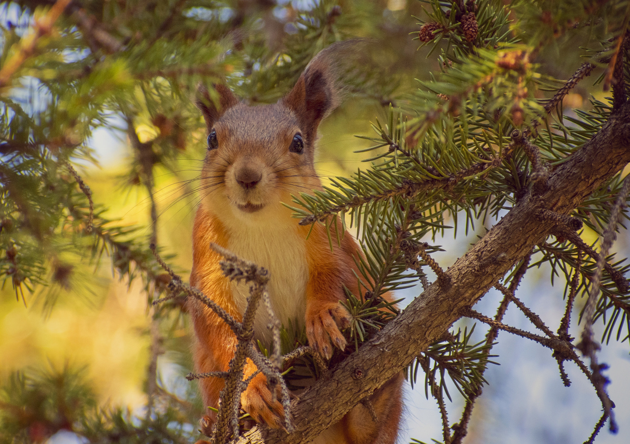 DSC_0458 к-01 by Ilgiz Taipov on 500px.com