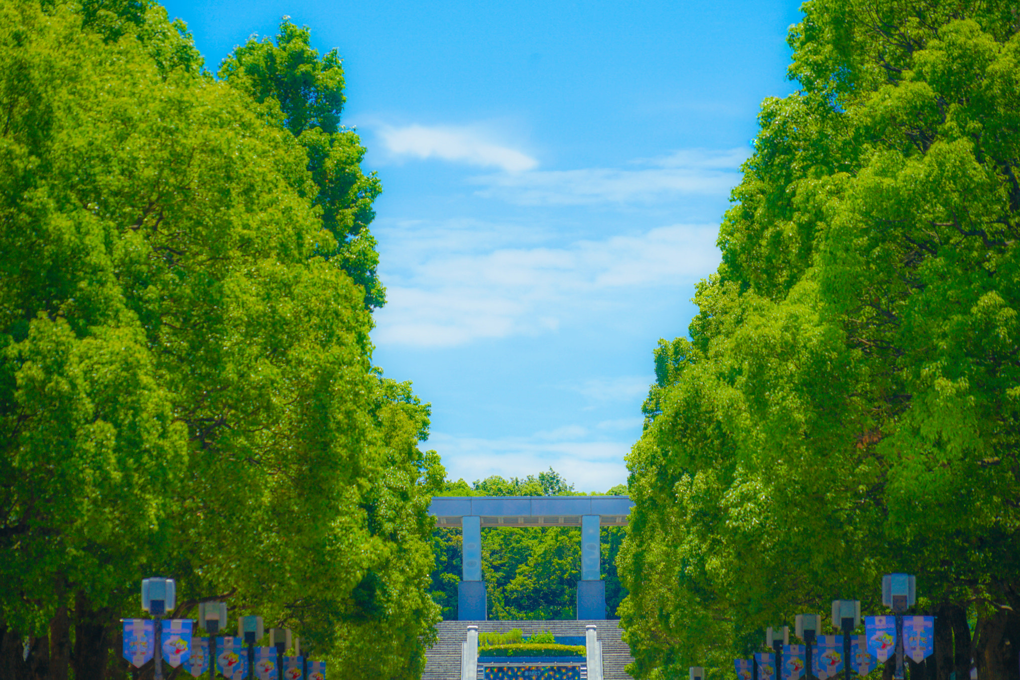 Quarter of the early summer of Tama Center