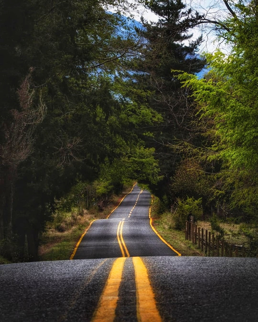 Southern Chile  by Vittorio Barbera on 500px.com