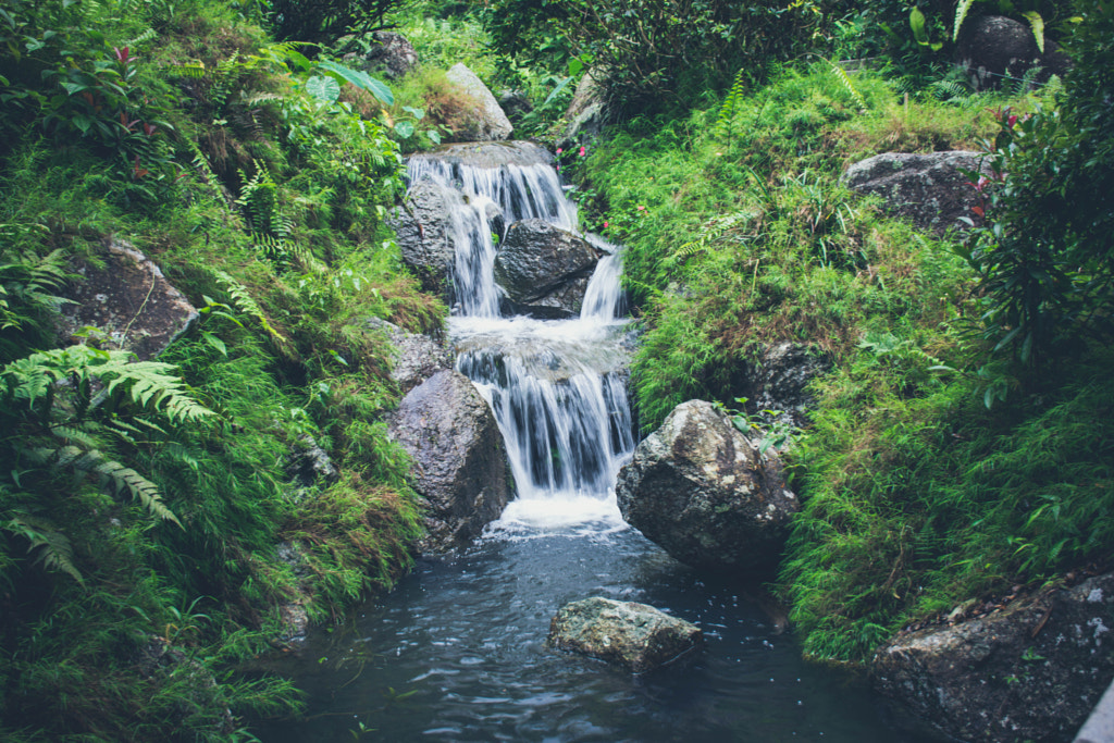 The Waterfall by L's  on 500px.com