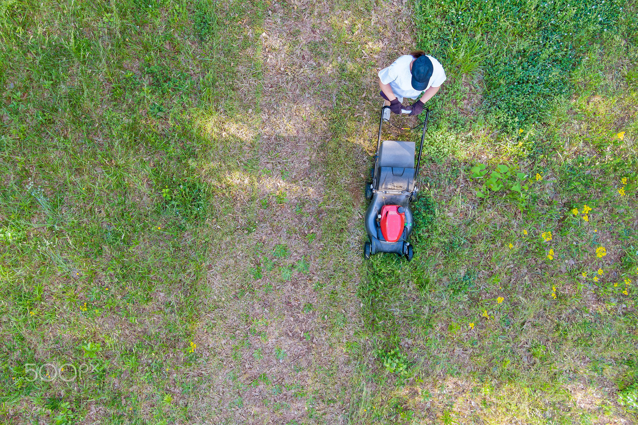 Aerial view of lawn mower cutting green grass in backyard, mowing lawn