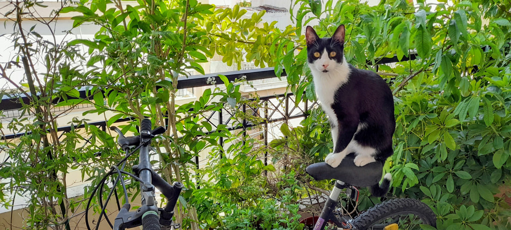 Jorge the cyclist by George Amfilochia on 500px.com