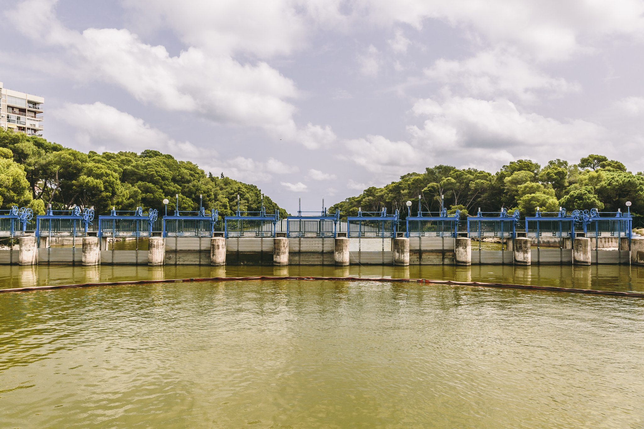 Dam a beautiful sunny day in the Saler area in Valencia