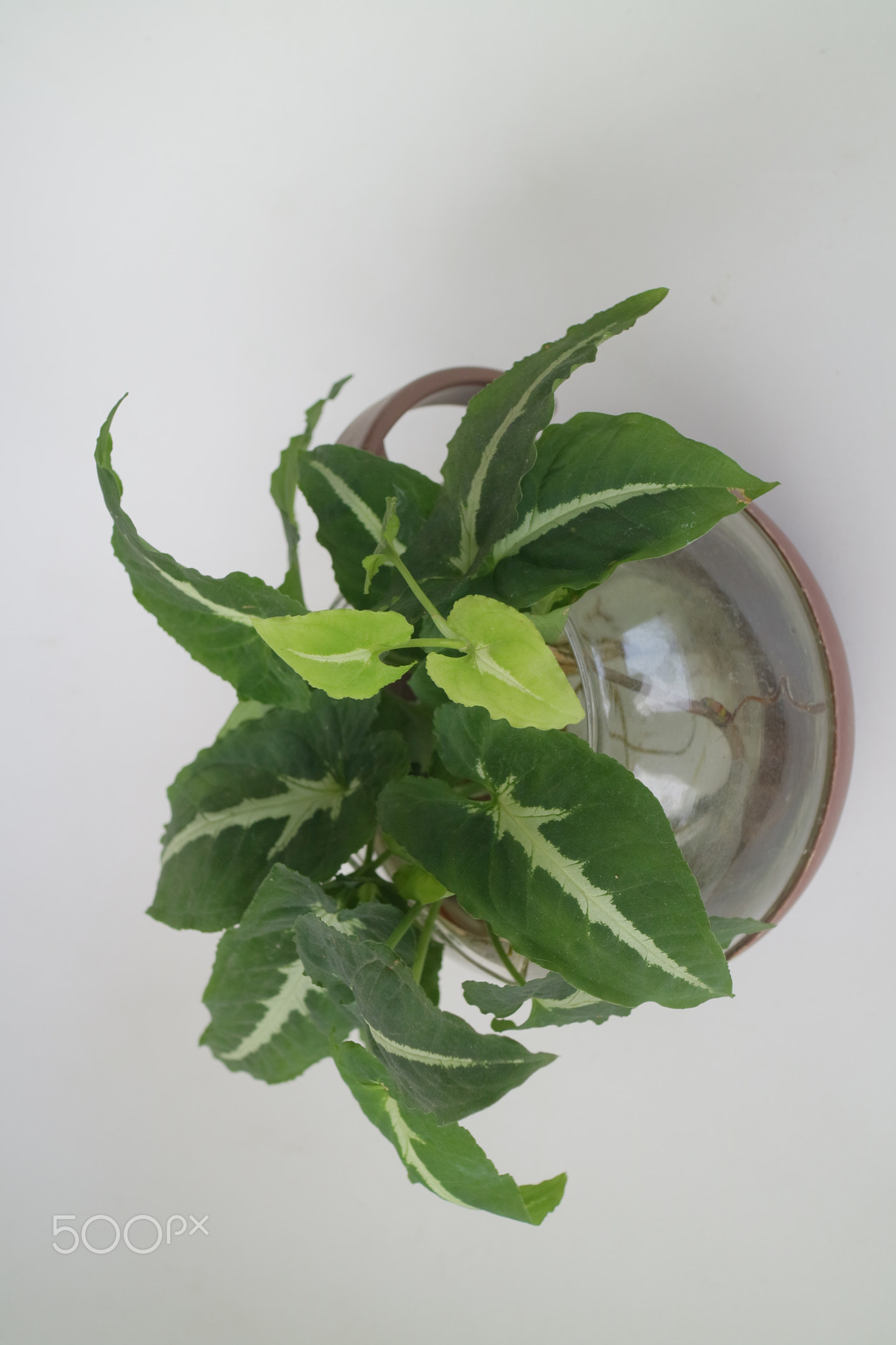 kitchen decoration