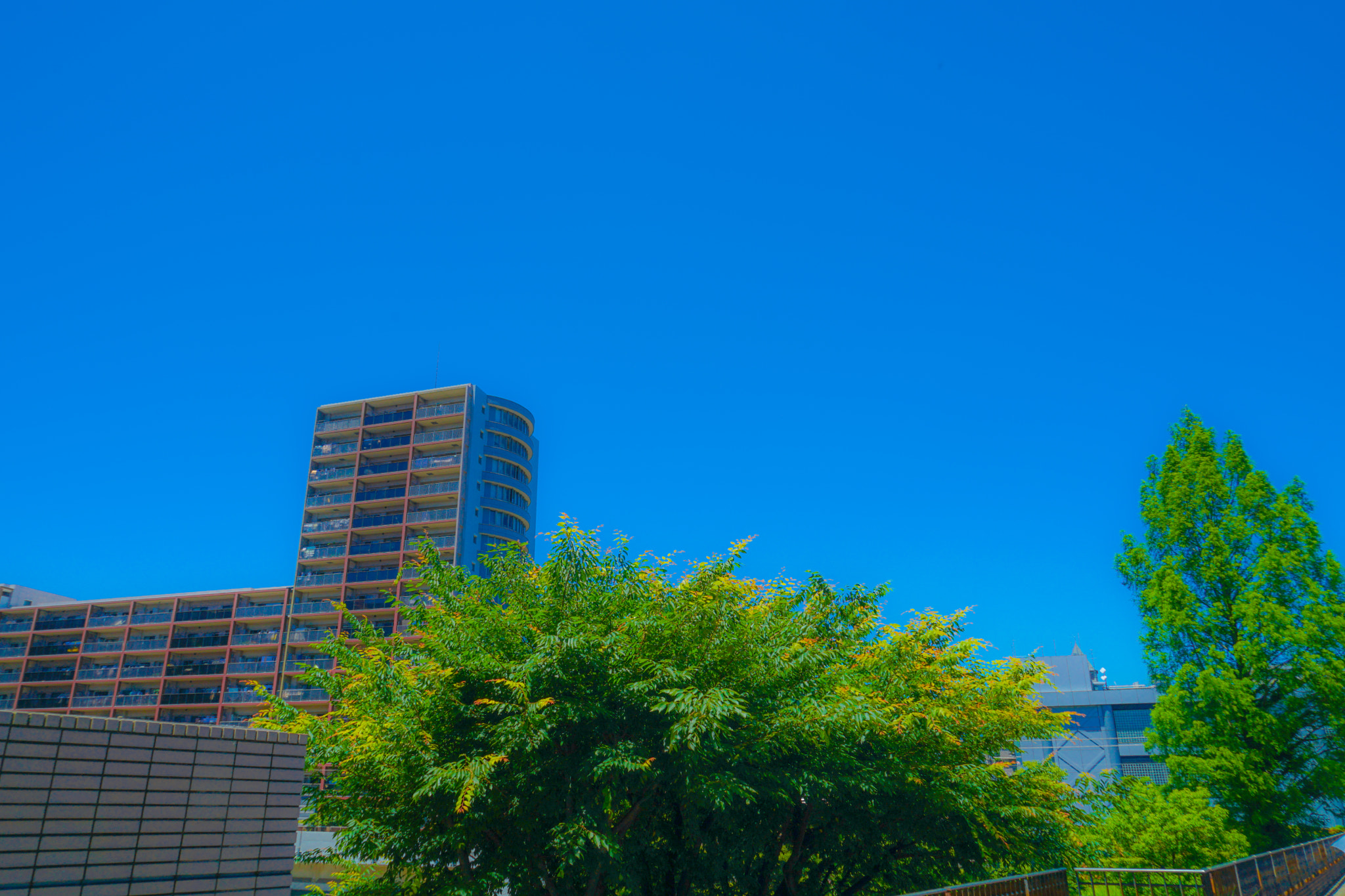 Quarter of the early summer of Tama Center