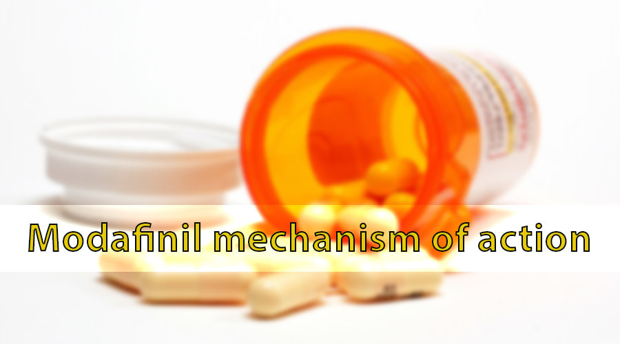 Modafinil mechanism of action