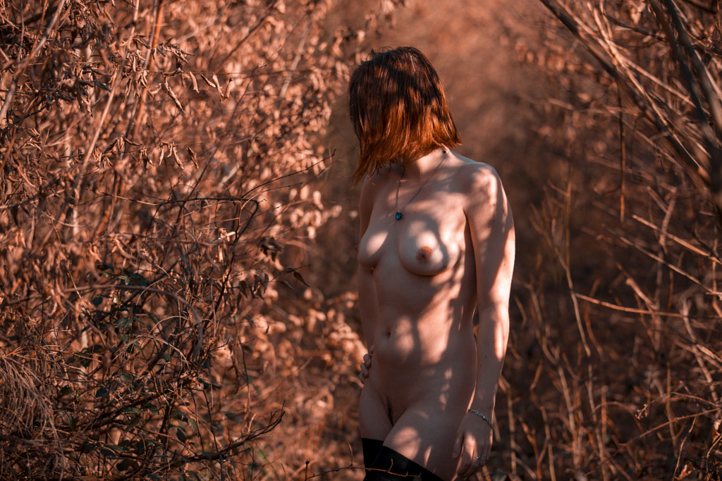 Sunny forest by sweet cookie on 500px.com