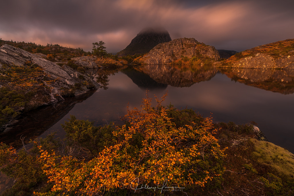 Twisted Glow by Hillary Younger on 500px.com