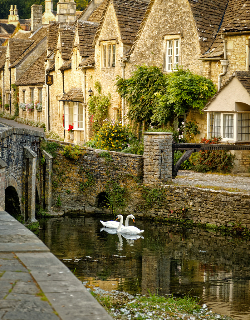Castle Combe Swans by Mike-Hope by Mike Hope on 500px.com