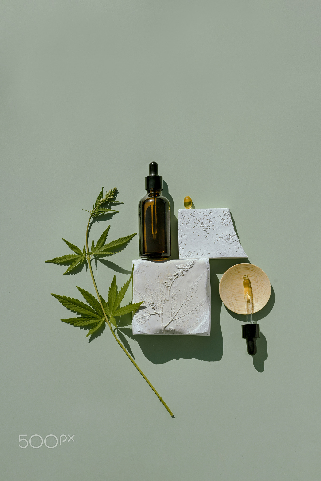 CBD oil in bottle and cannabis bush, hemp, white podium