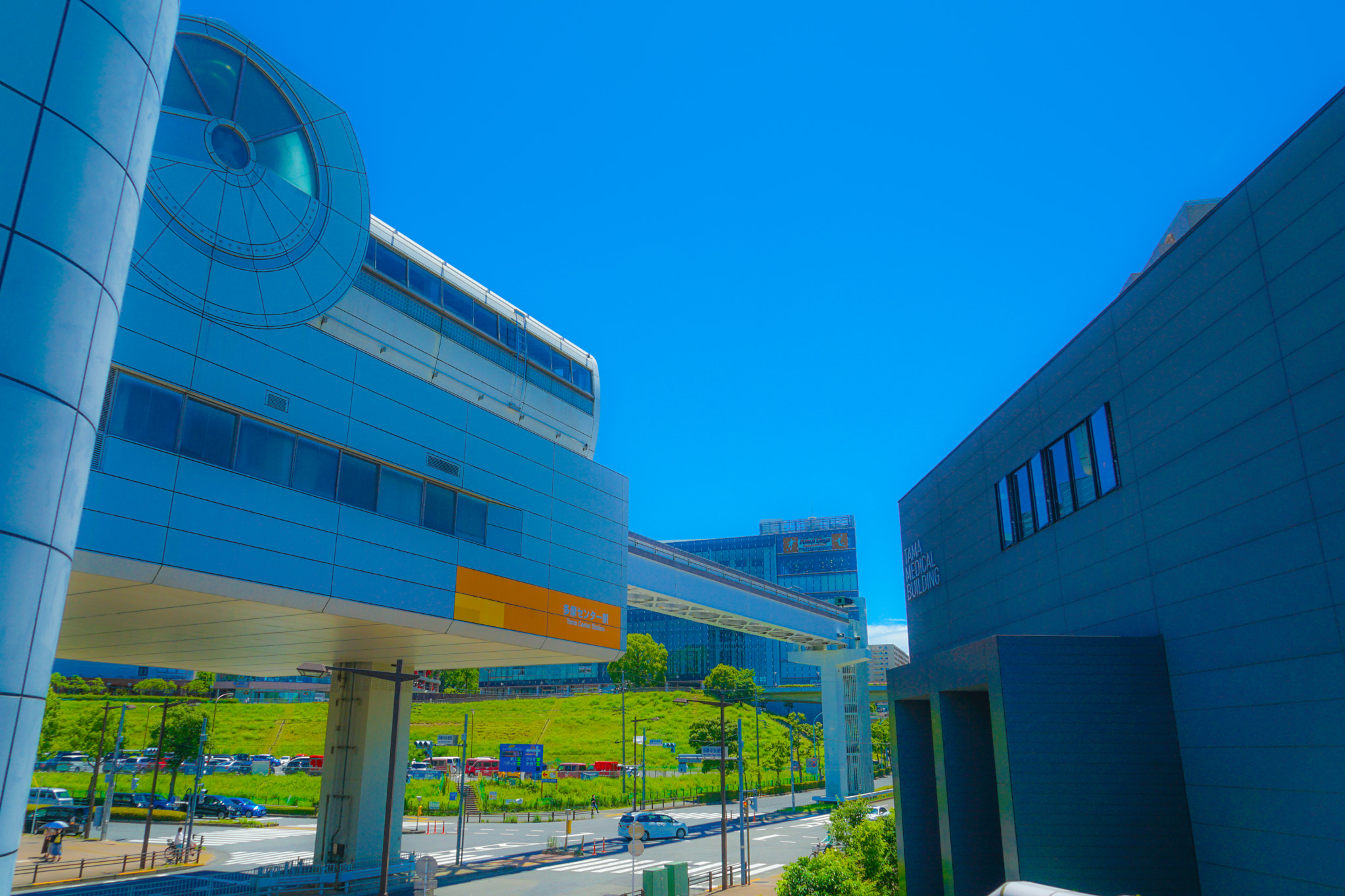 Quarter of the early summer of Tama Center