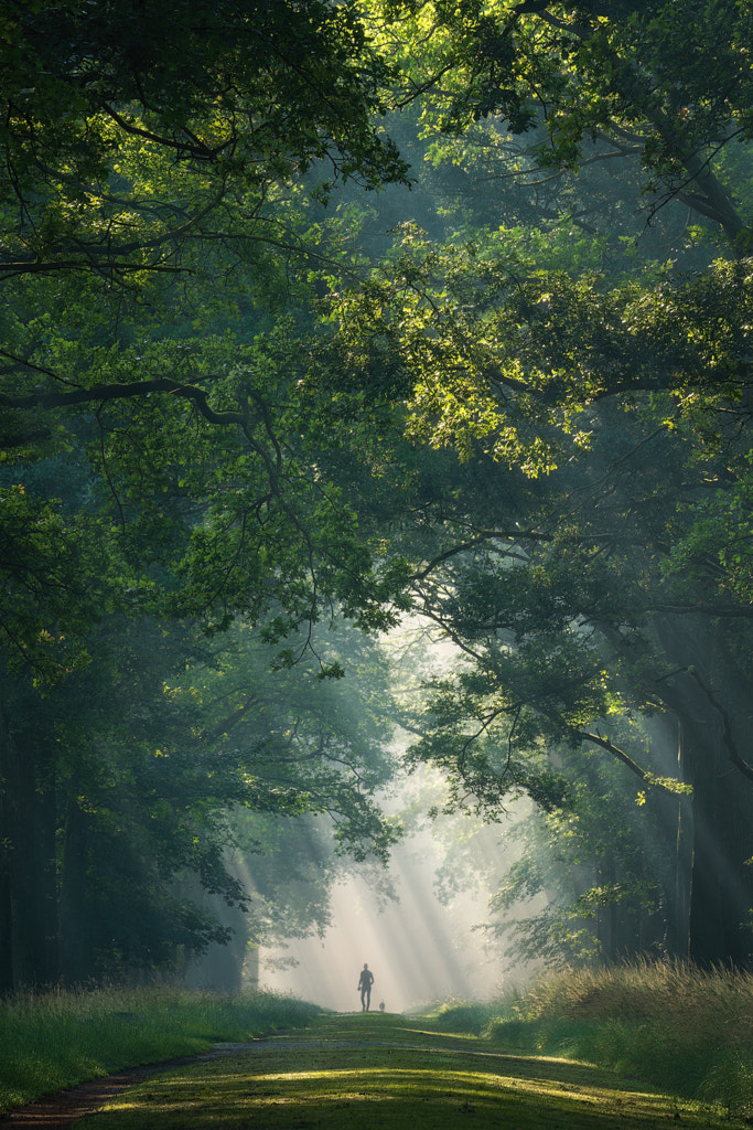 Summer morning walk by Martin Podt / 500px
