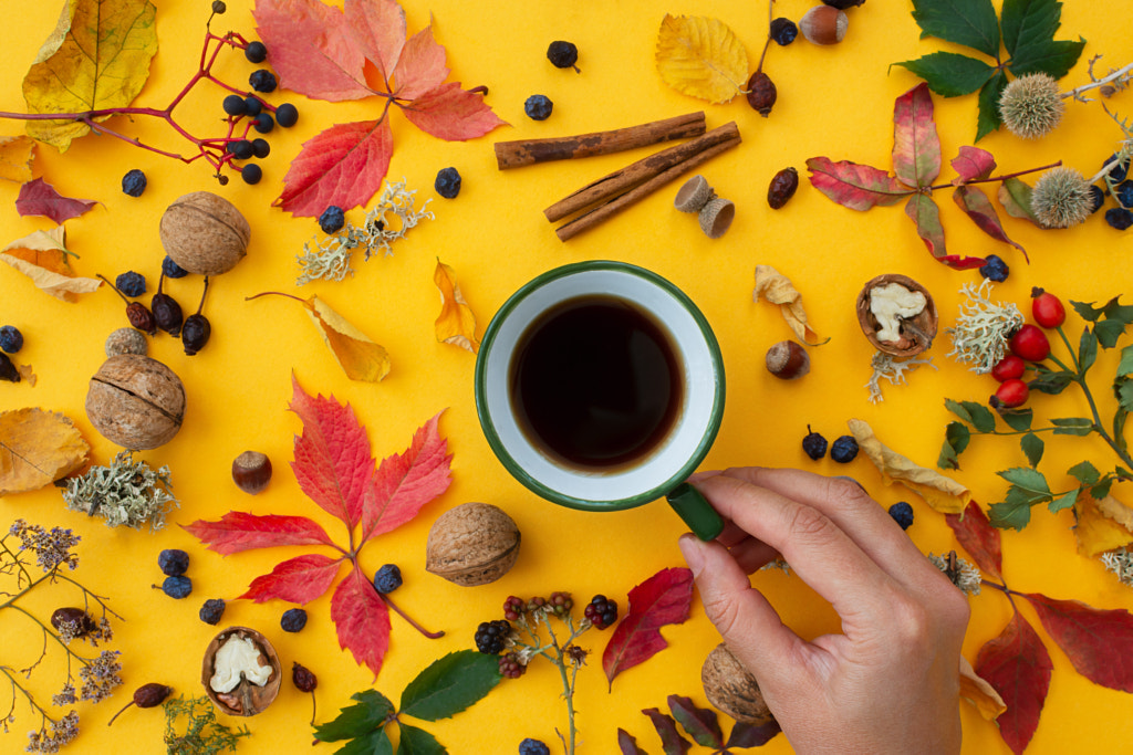 Autumn composition top view by Anna Pismenskova on 500px.com