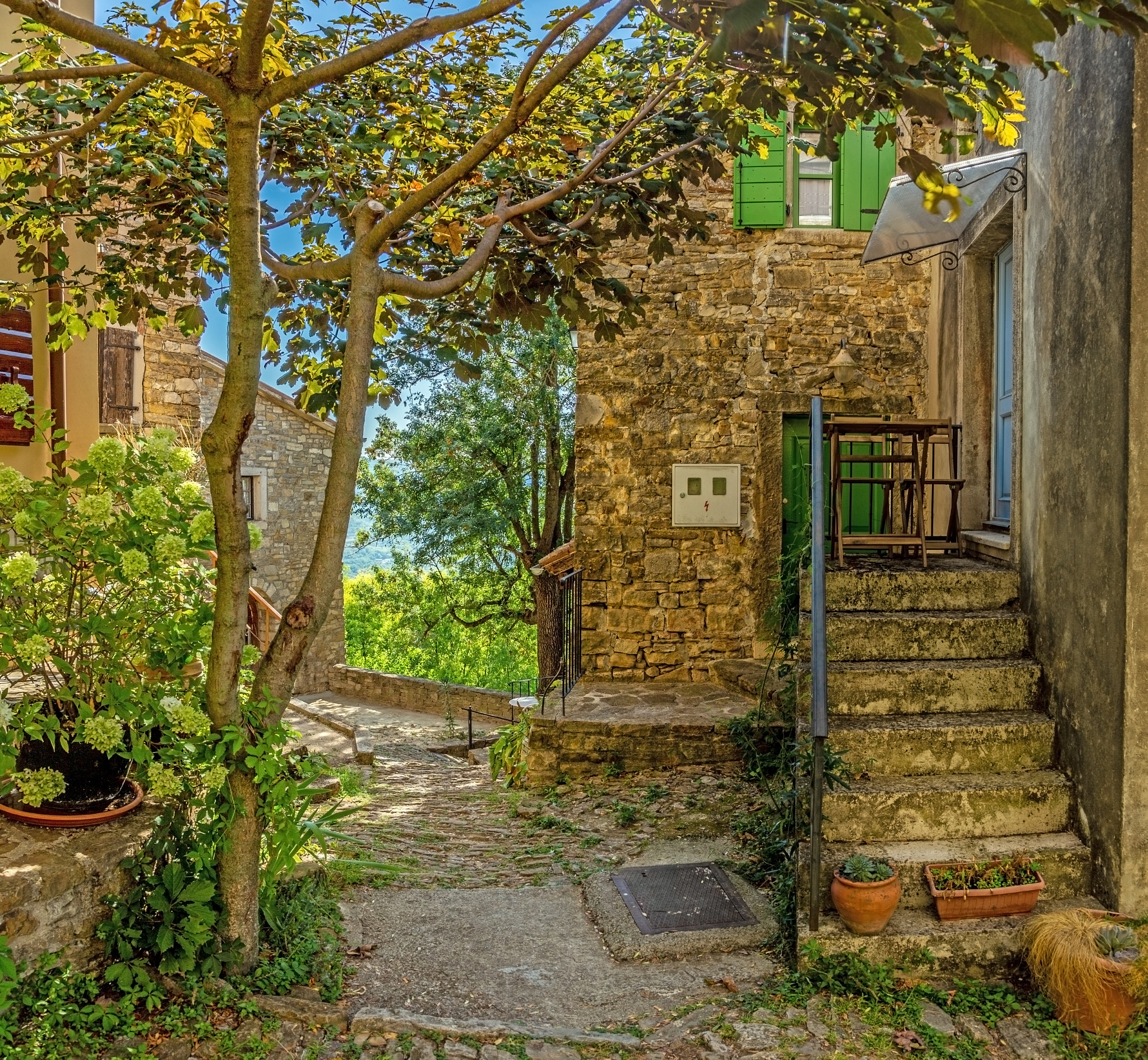 Picture of a romantic cobblestone street in Motovun