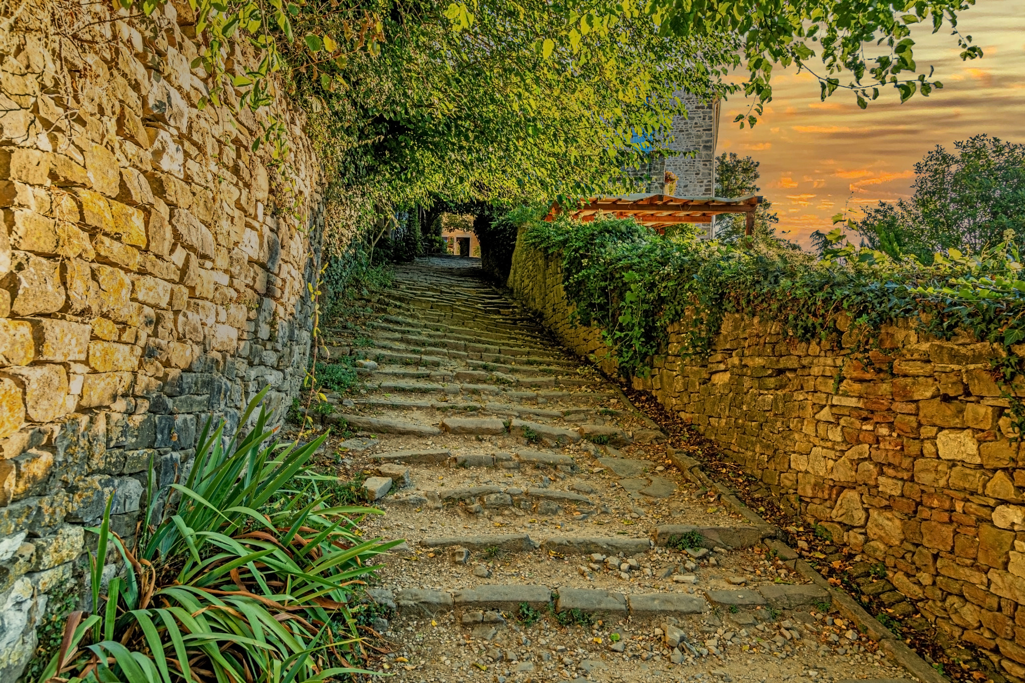 Picture of a romantic cobblestone street in Motovun