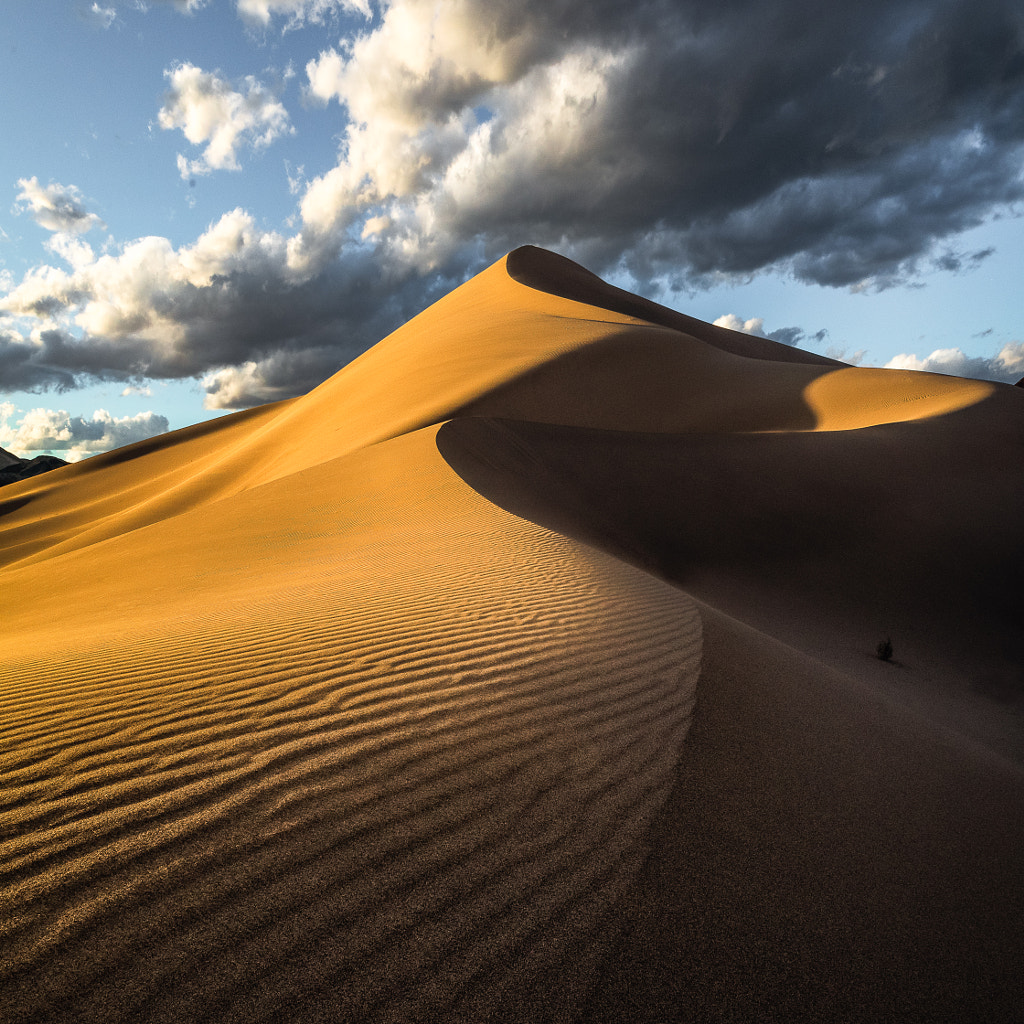 Magic curve by Jean-François Chaubard / 500px