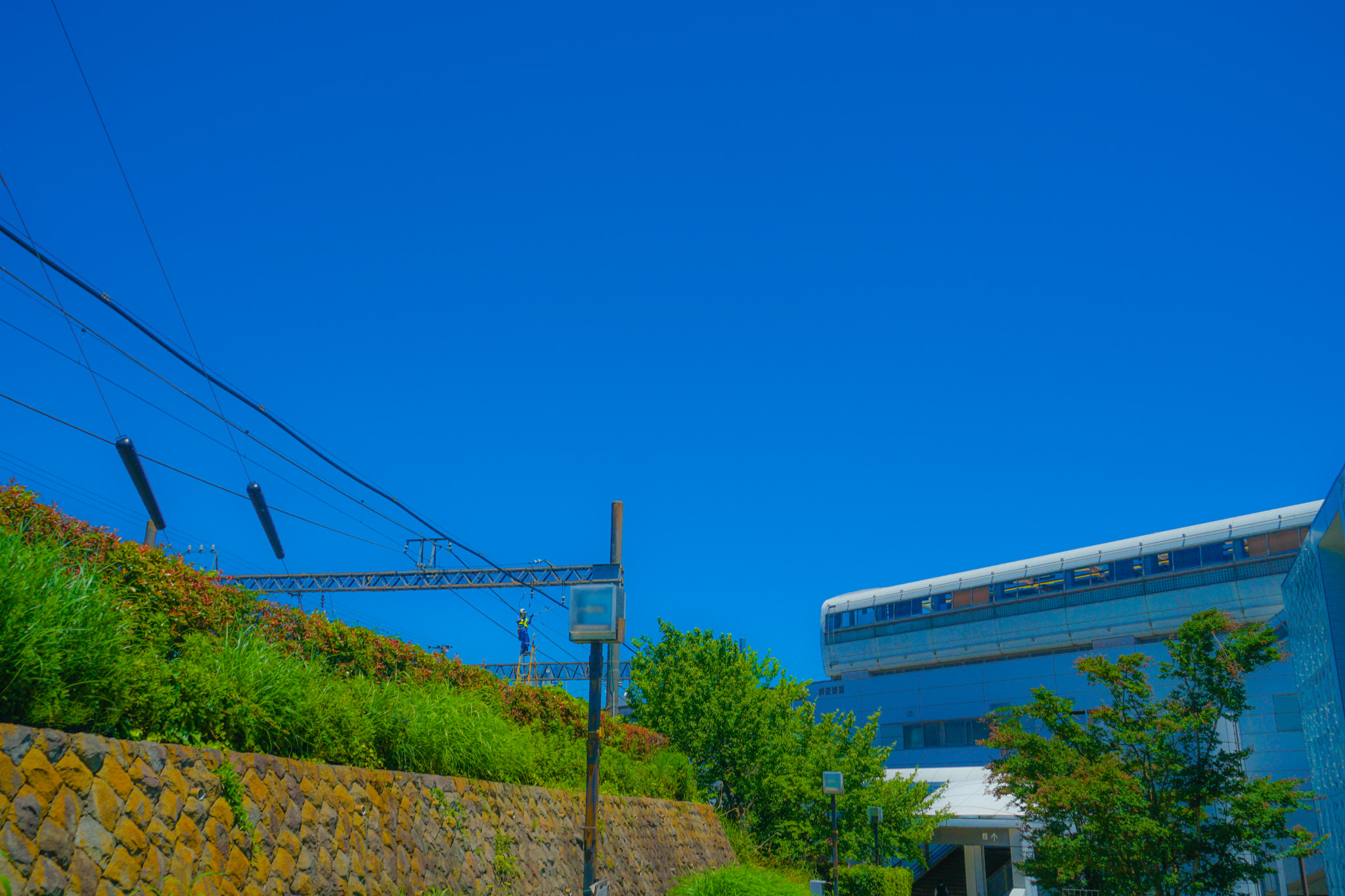 Quarter of the early summer of Tama Center