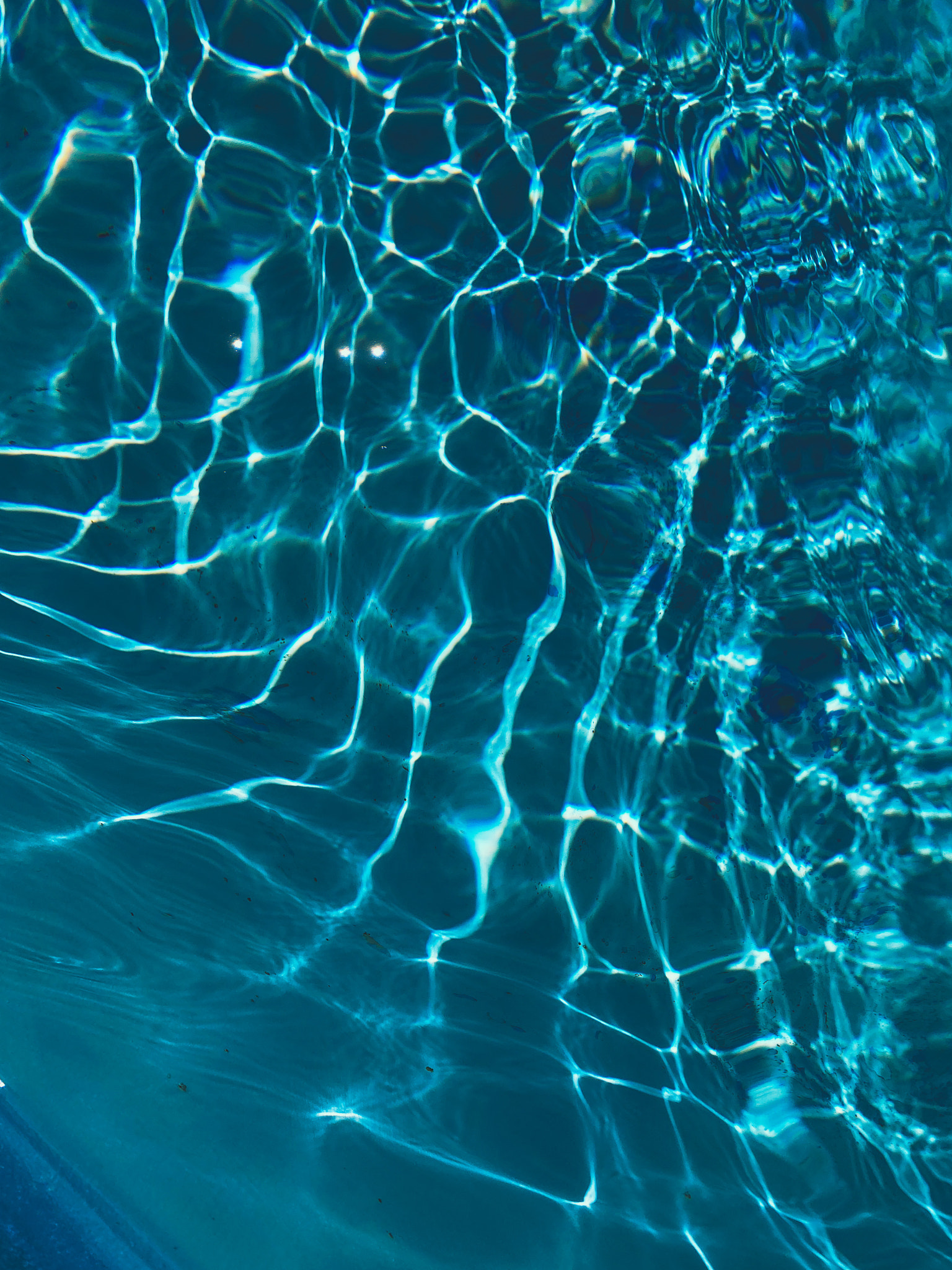 Textured vertical wallpaper from the pool