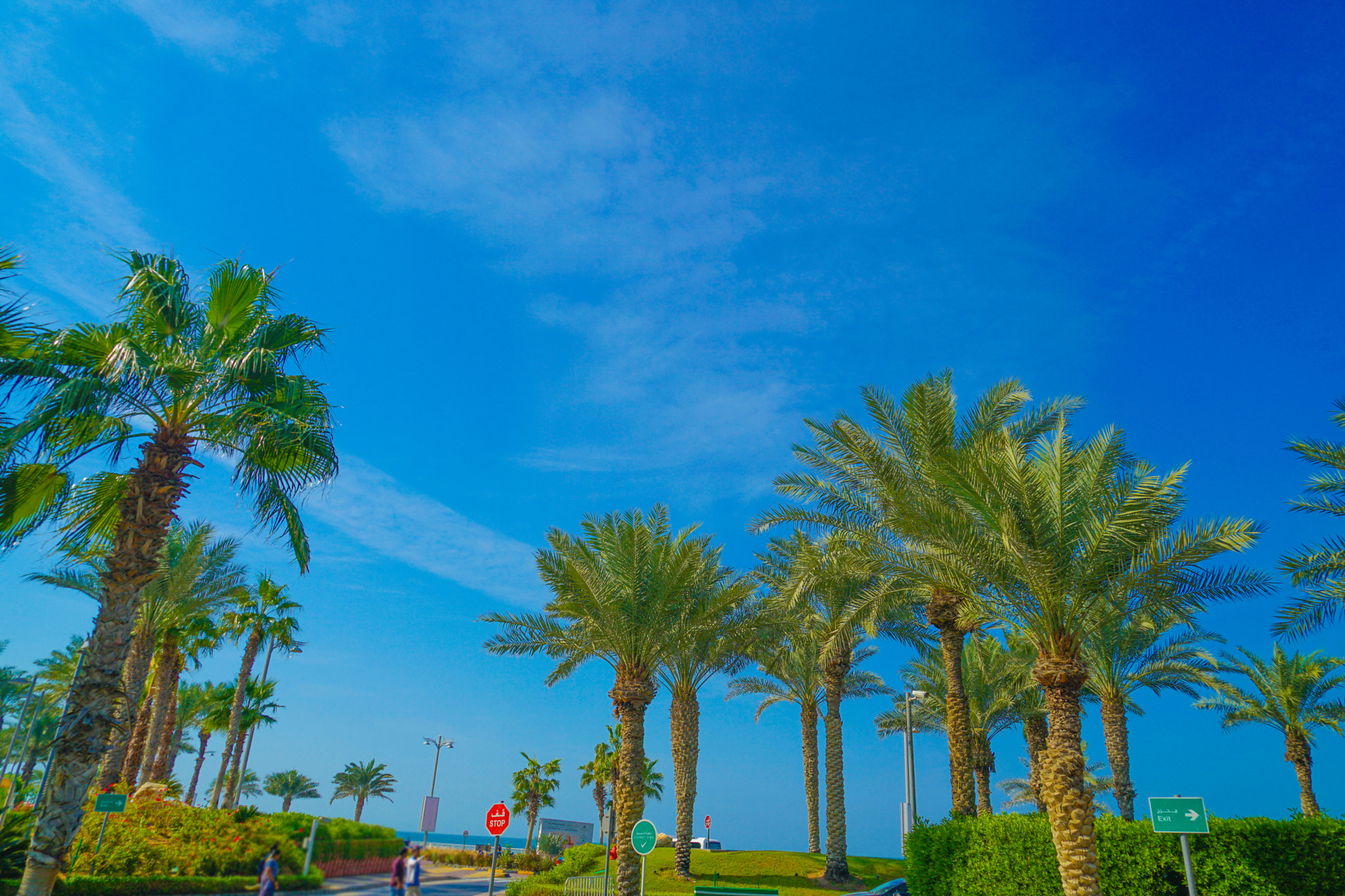 v2?sig=4445ccd2c70265097378a28270866b511992783ba8148f008c0607733fb6a8a8