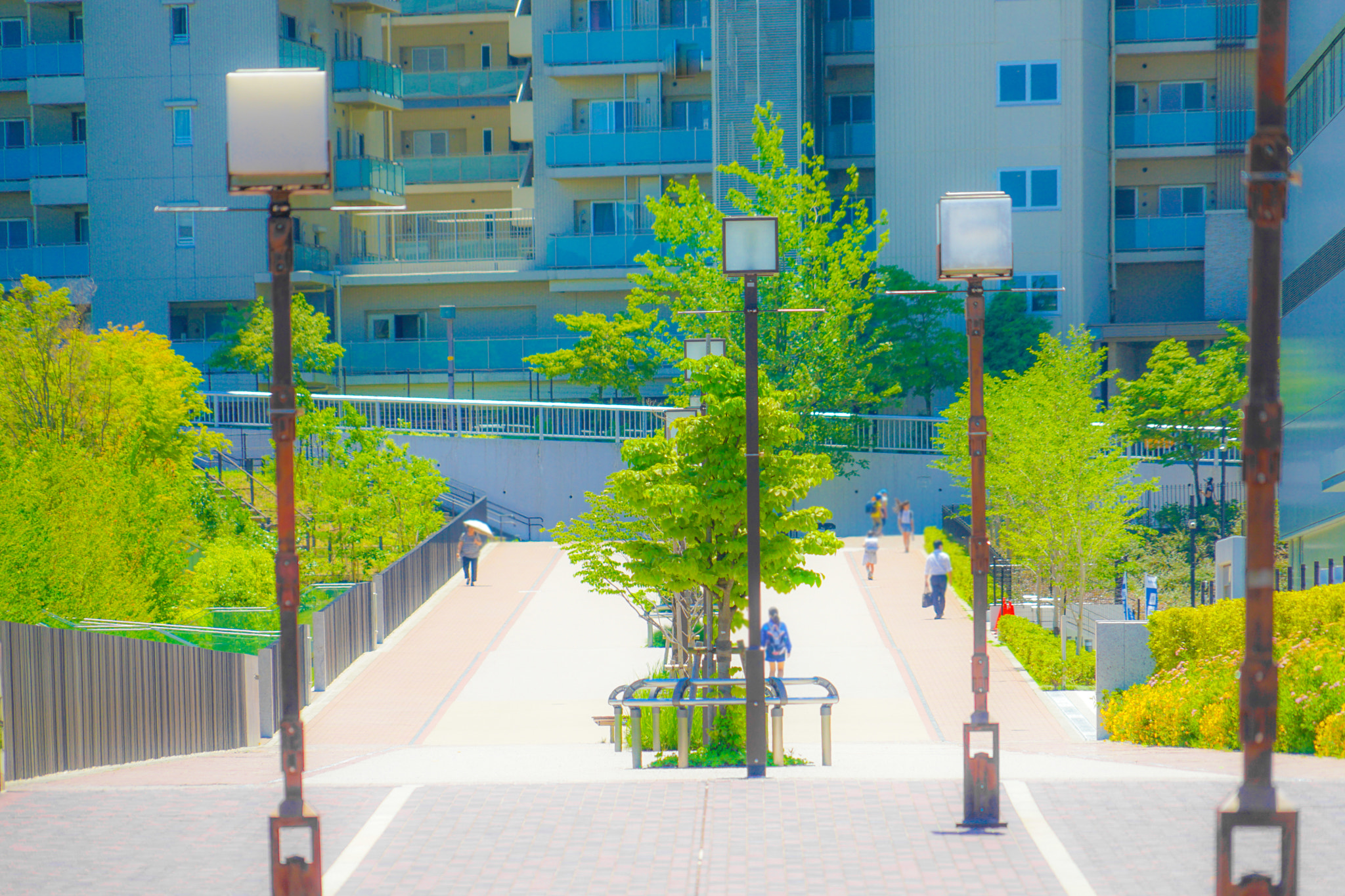 Quarter of the early summer of Tama Center