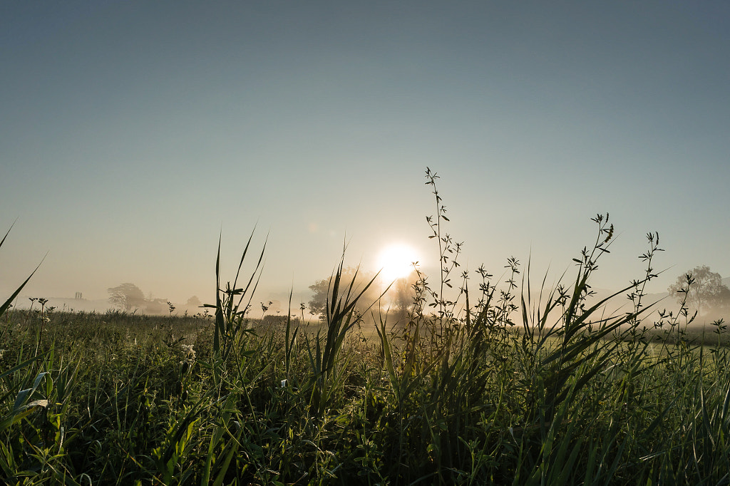 Ruggeller Riet by Ivo Kurt Gutmann / 500px