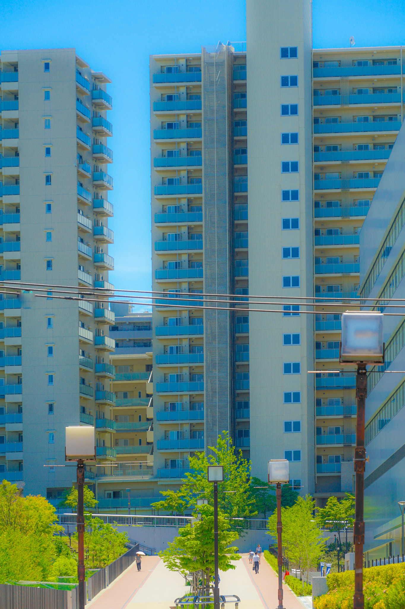 Quarter of the early summer of Tama Center