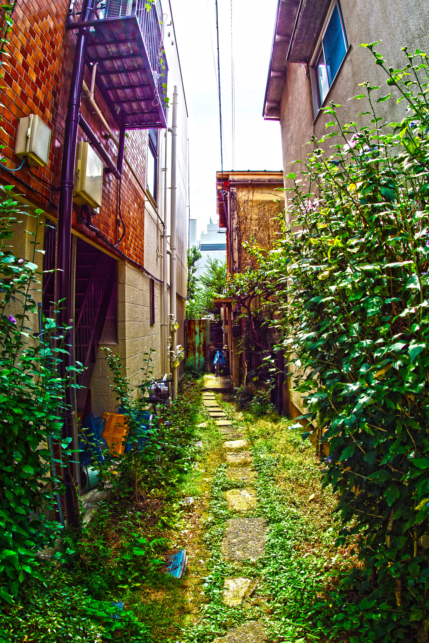 Back alley of the residential area