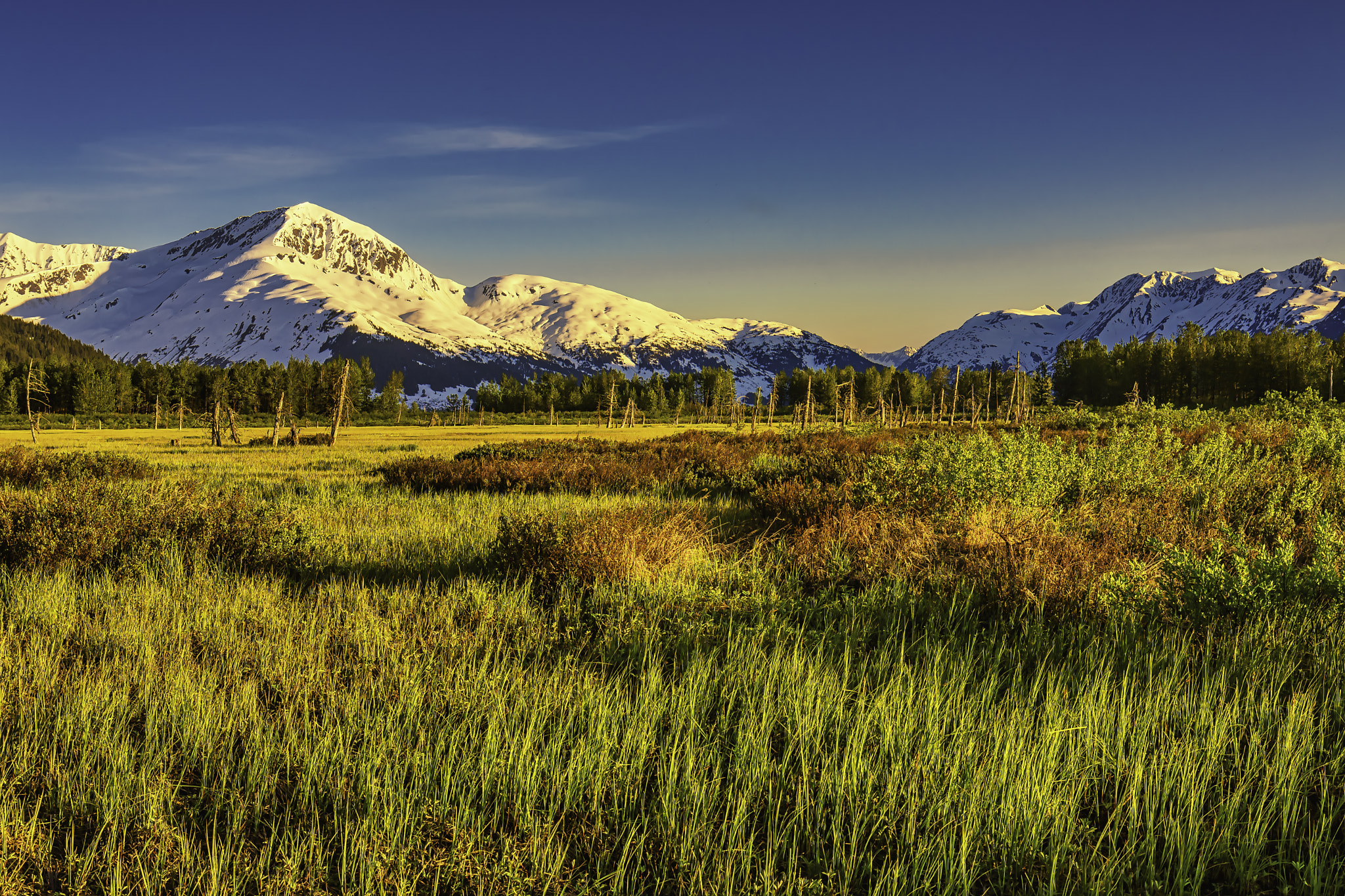 Alaska, Anchorage, Portage Valley, Portage Glacier Road, 阿拉斯加, 安克雷奇