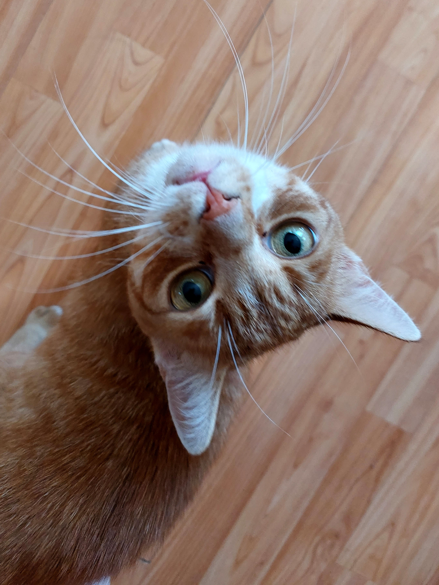 v2?sig=5f3efe214e2587bf362920414135b874d31b58353507bdb663a381d806cae2fa