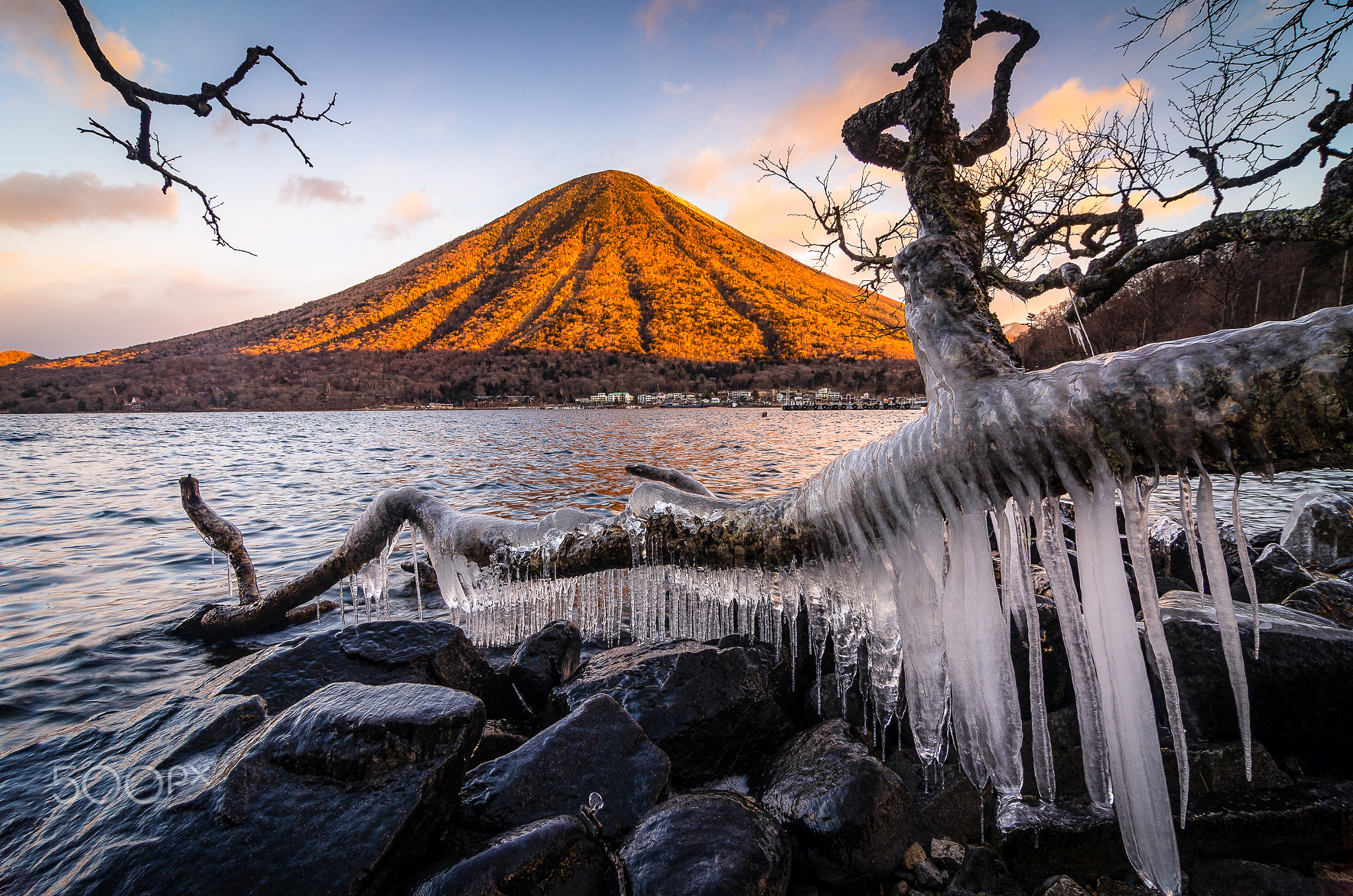 Frozen Morning