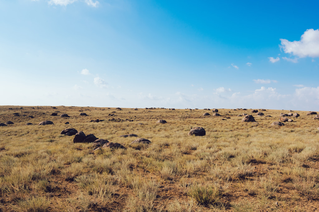 Rocks on grassy meadow in valley by gaudilab on 500px.com