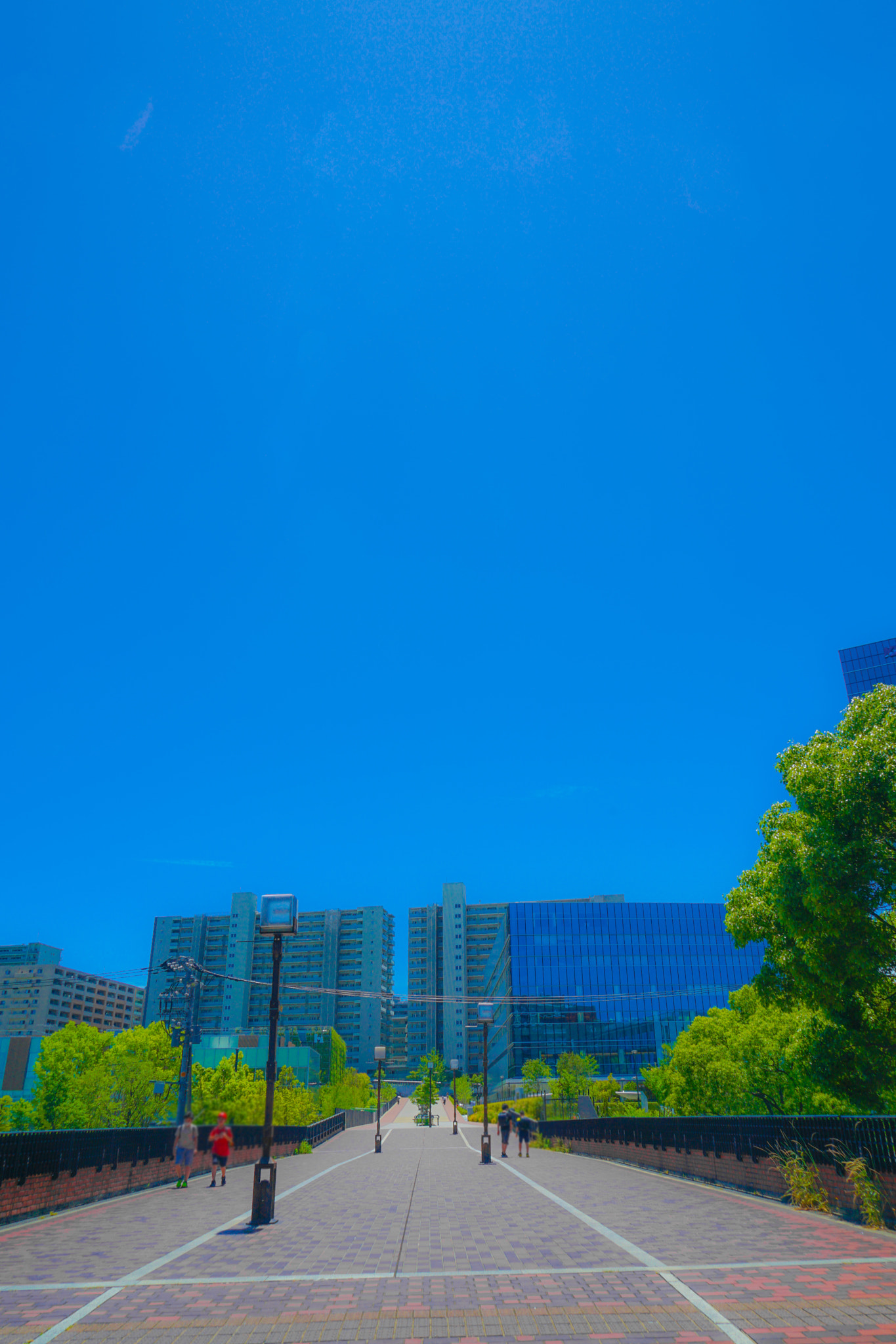 Quarter of the early summer of Tama Center