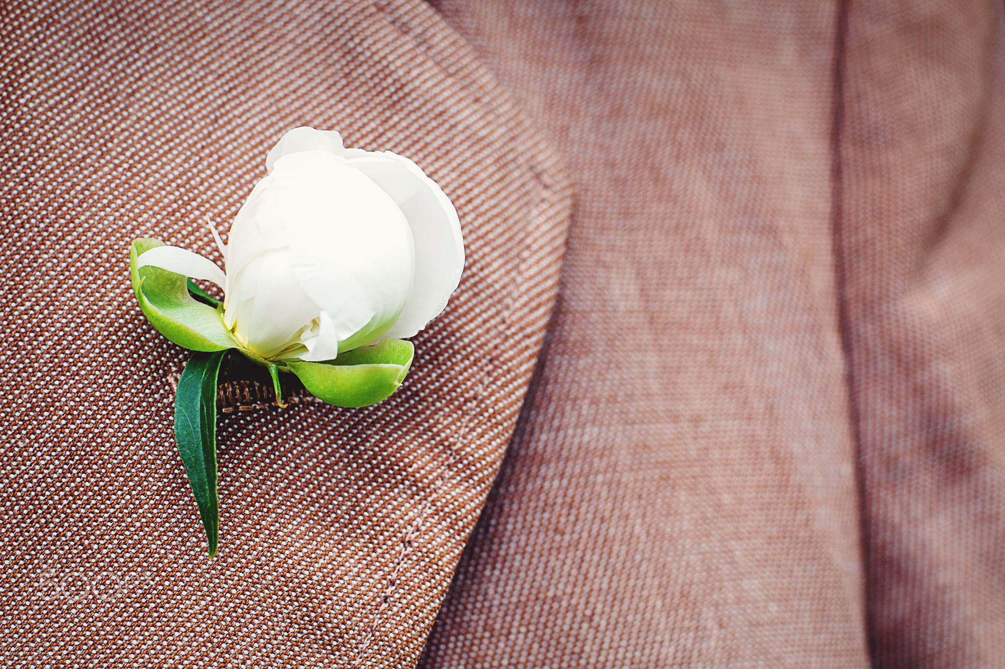 White peony bud set in old-fashioned coat lapel buttonhole