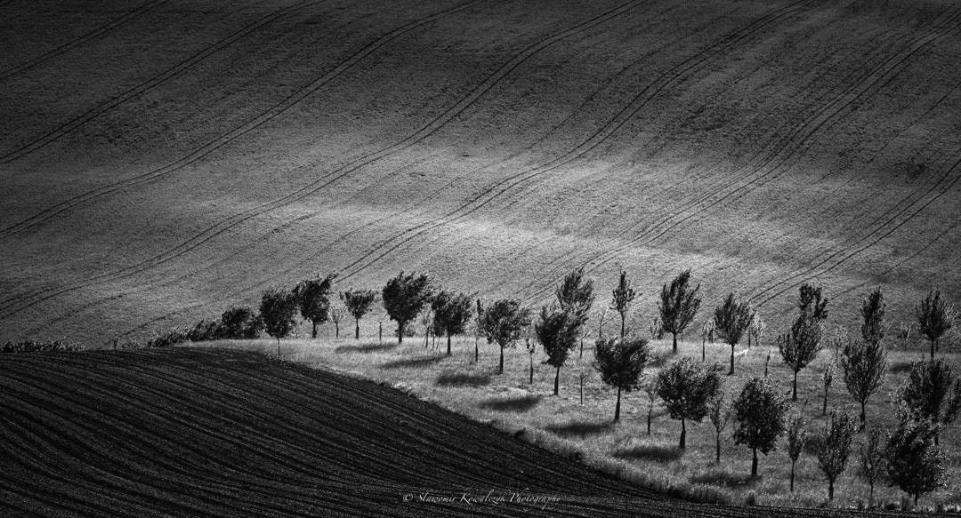 v2?sig=65dec4470f48821f63d788bebe9a151f2