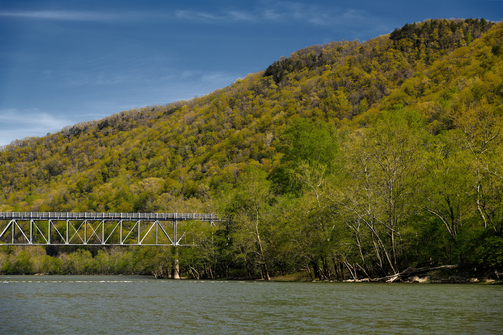 A Hillside Backdrop for the McKendreee Road Bridge