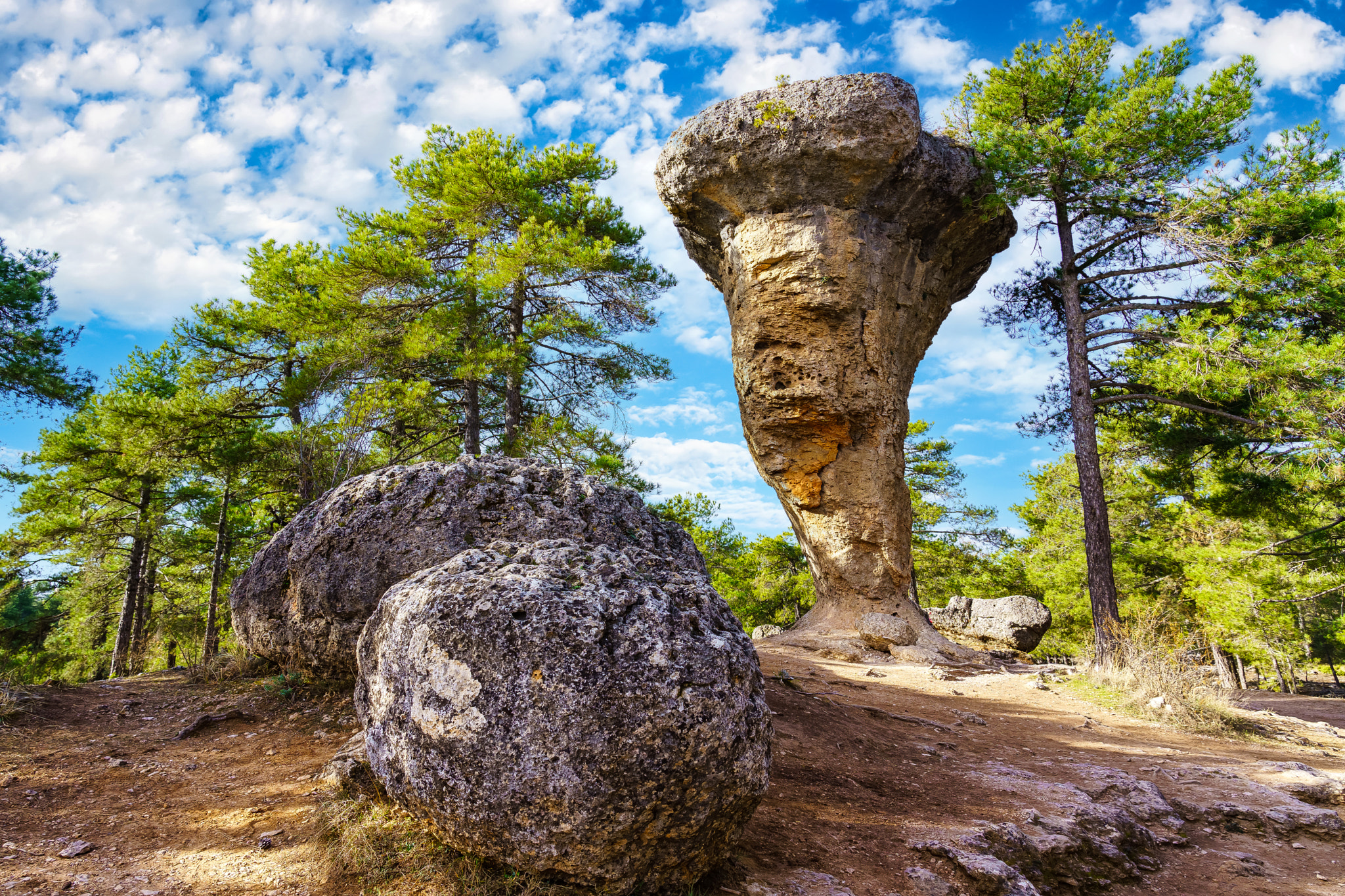 Enchanted Forest in Cuenca by Jose Miguel Sanchez / 500px