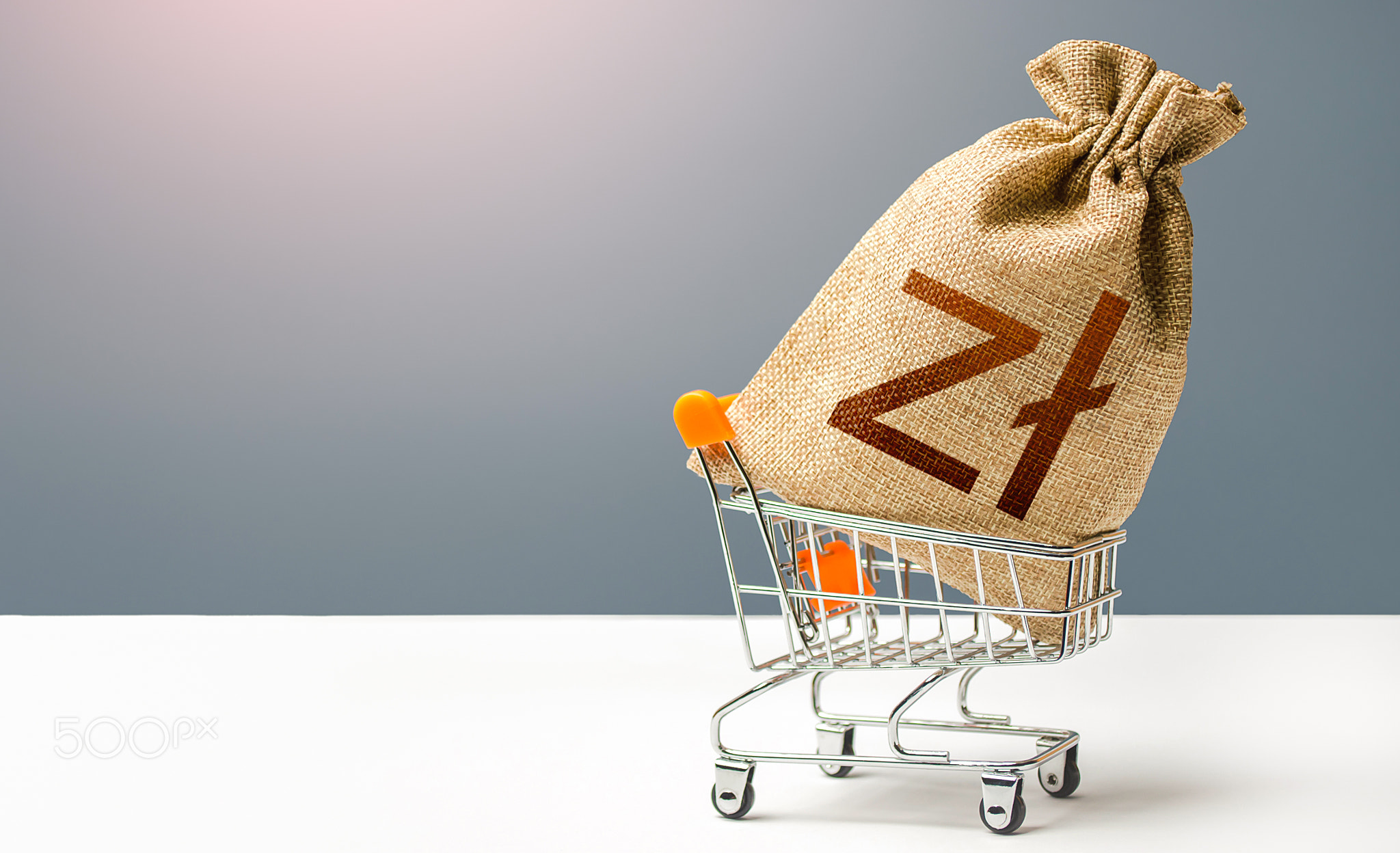 Polish zloty money bag in a shopping cart.