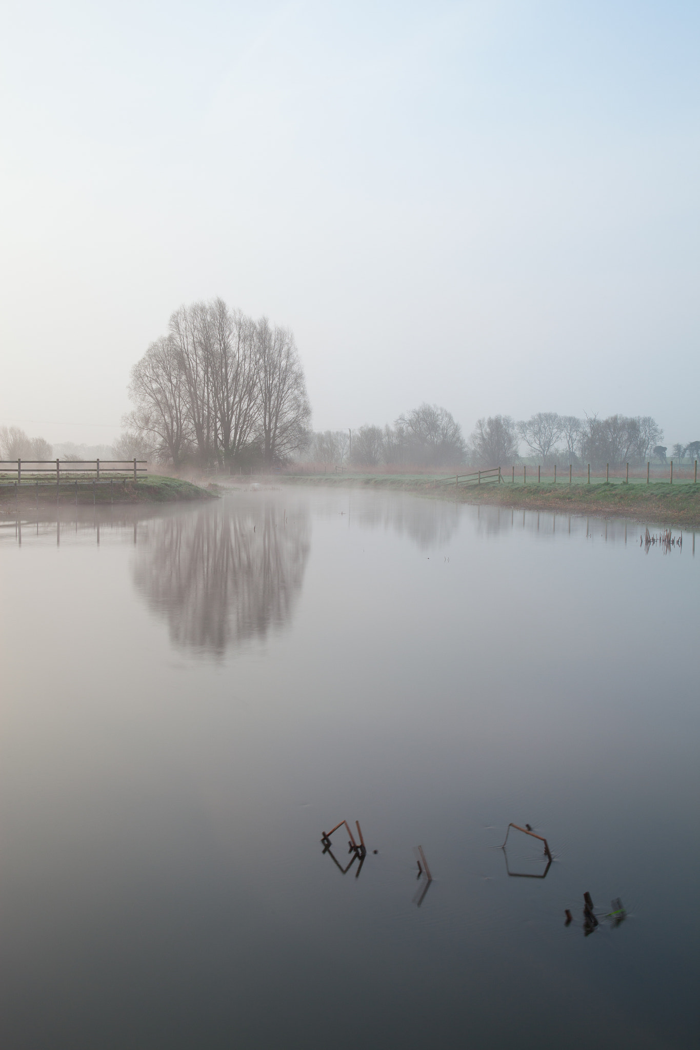 Misty River Nene