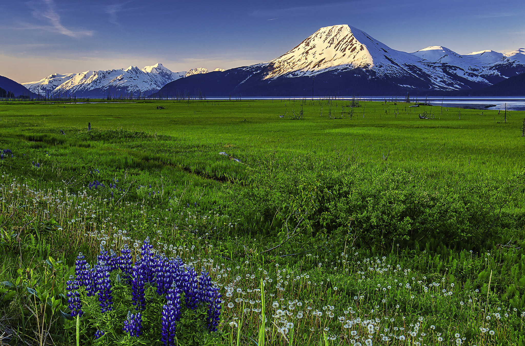 v2?sig=a1ef7d9cc8d463586e0dc0c973539d6f5512b07c43d1ee47ddc645b57bd5a885