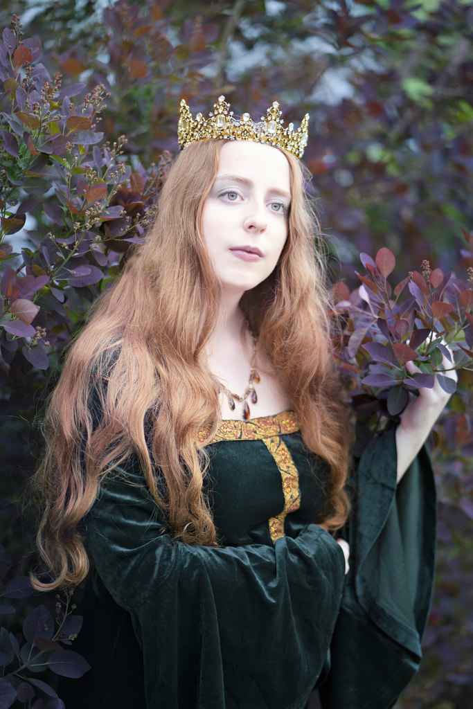 Medieval Fantasy Portrait (Young Woman in Medieval Dress and Crown ...