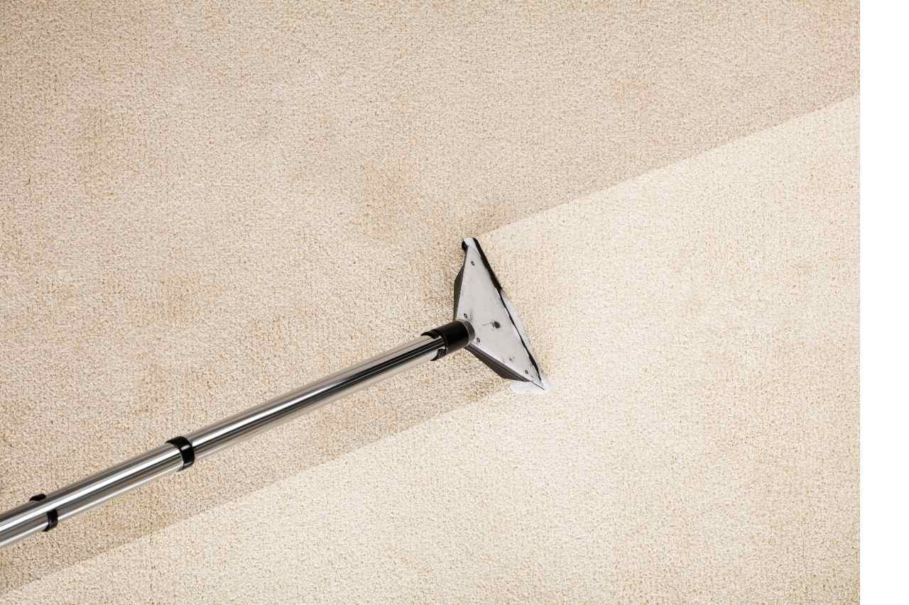 Carpet Cleaning services